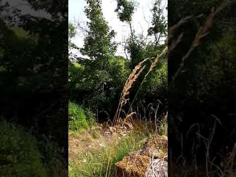 Stop Number 8- The Tristaun Ford