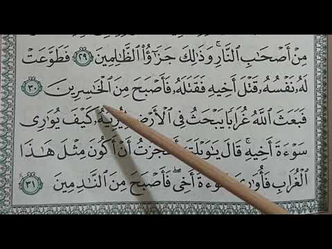 Belajar Ngaji QS Al-Maaidah (5) ayat 30 dan 31