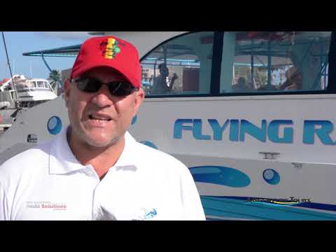 1min31sec Flying Ray