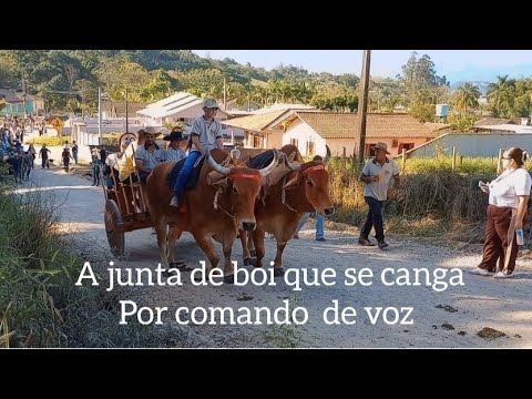9 Carreata de carros de boi, São Tomás - Imaruí SC 
