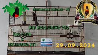 BIG EXCLUSIVO 752 - BIG C 478 X EXCLUSIVA 811 - CRIATÓRIO PRORROGAÇÃO
