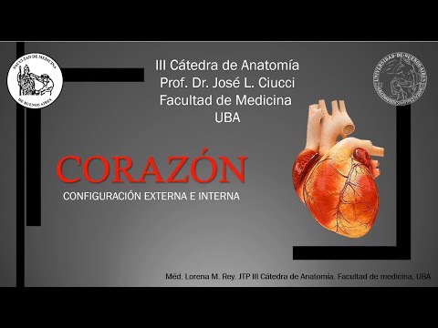 CORAZÓN   Dra. Lorena Rey