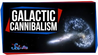 Our Galaxy Is a Cannibal