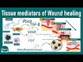 Tissue Mediator Of Wound Healing Wound Healing Steps USMLE Step 1