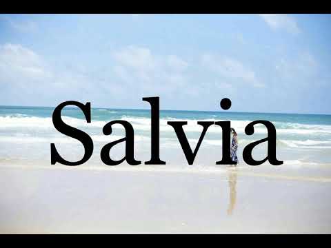 How To Pronounce Salvia🌈🌈🌈🌈🌈🌈Pronunciation Of Salvia