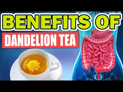 13 Amazing Health Benefits Of Dandelion Tea