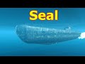 Seal 356K Damage World Of WarShips