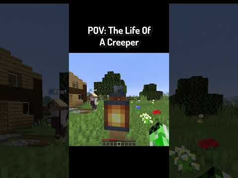 POV: The Life Of A Creeper