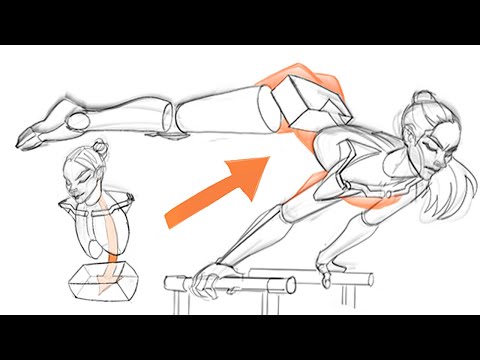 Simplified ANATOMY - Everything I Wish I Knew