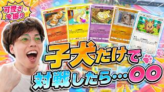 【ポケポケ】"こいぬまみれ"デッキでまさかの事態にwww【こいぬまみれ】