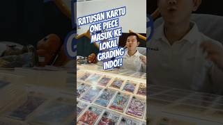 Grading submission kartu ONE PIECE mengalahkan TCG POKEMON?!