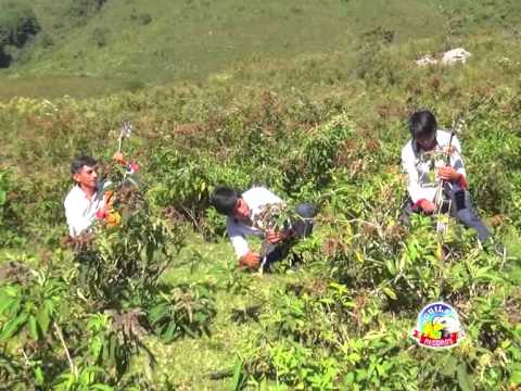 Los traficos del amor - separemonos