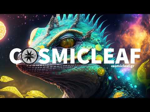 Eguana - Meteoric Path