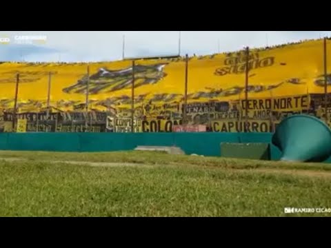 "Te querés matar" Barra: Barra Amsterdam &bull; Club: Peñarol