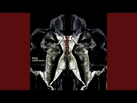 Fou - Shahin Najafi