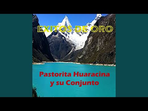 El Precio De Tu Carino - Pastorita Huarasina