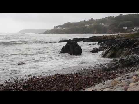 Mary-Kate's Front Garden