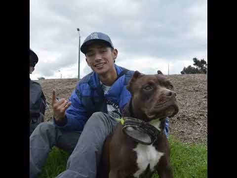 Welcome Tunja - Cholo Mc ft Jesse Owen Nk-Theoo ft Weed Man-Jmsk ft Deibit Mc