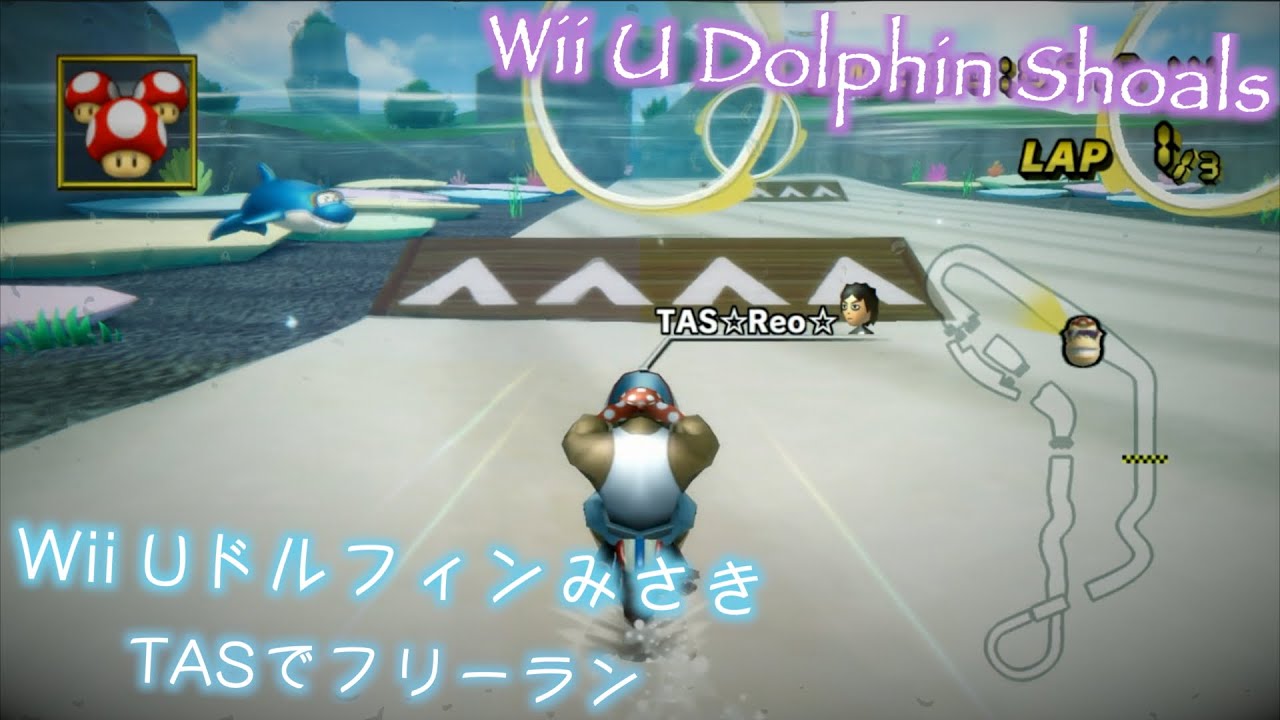 [MKWii CT] Wii U Dolphin Shoals v1.0 & v1.1 (Tool-Assisted)