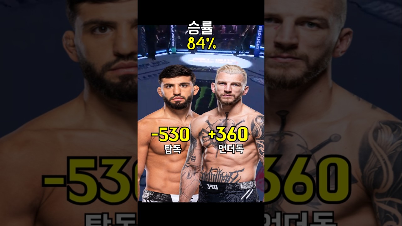 아르만 사루키안 VS 댄 후커 누가 이길까? 배당은 압도적 미스매치 (UFC 카타르 대회)