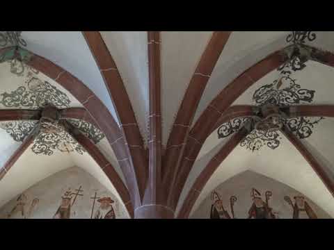 Tagesimplus Pater Albert - Strecke Deine Zweige aus wie ein Baum