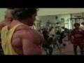 Arnold Front Raises
