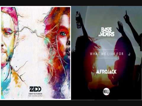 Afrojack & Bassjackers vs Zedd & Selena G - I Want You To Know What We Live For (Hardwell Mashup)