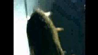 Obituary-Back to One (Live)