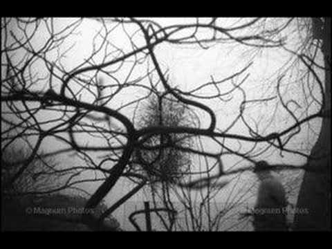 Türkçe Rap (Adı Kaldı Sonuna)