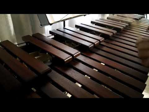 Inni di lode N°137: Il Signor con noi dimori Marimba Cover