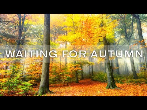 11 HRS Incredible Fall Foliage - Best 4K Autumn Nature Scenes from Around the World + Calming Music
