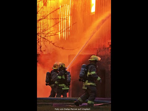 PSYCHOPATEN VS  ALTRUISTEN BZW  EMPATHEN