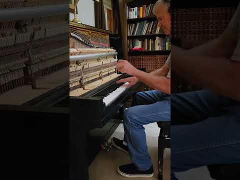 Marty Mincer plays Dizzy Fingers