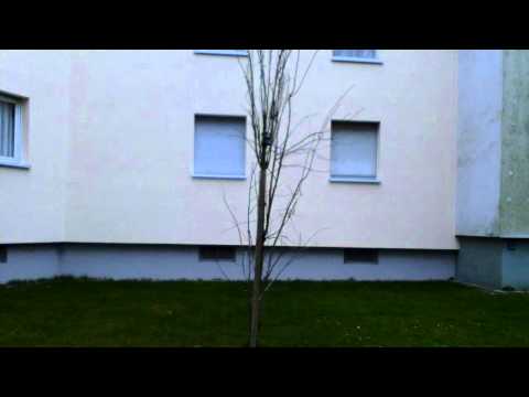 Wohnungsbrand Mannheim-Vogelstang - 1 Jahr danach