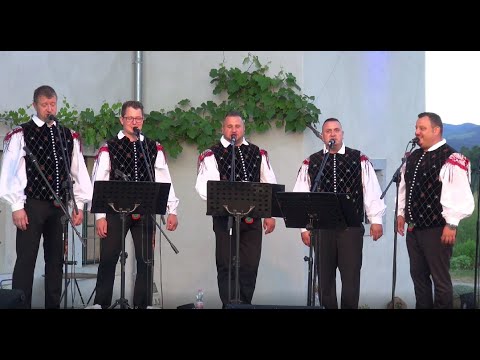 Fantje spod Šilentabra - Kaj mi nuca planinca (V ŽIVO)