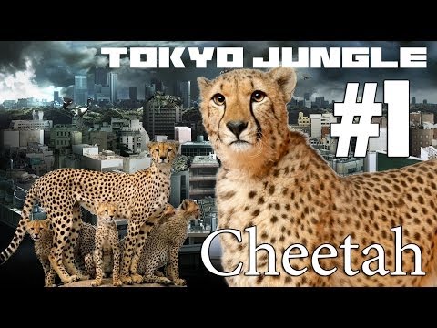 Tokyo Jungle: Cheetah Survive over 100 years  Part 1 of 4