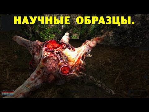 ОП-2.1. Научные образцы