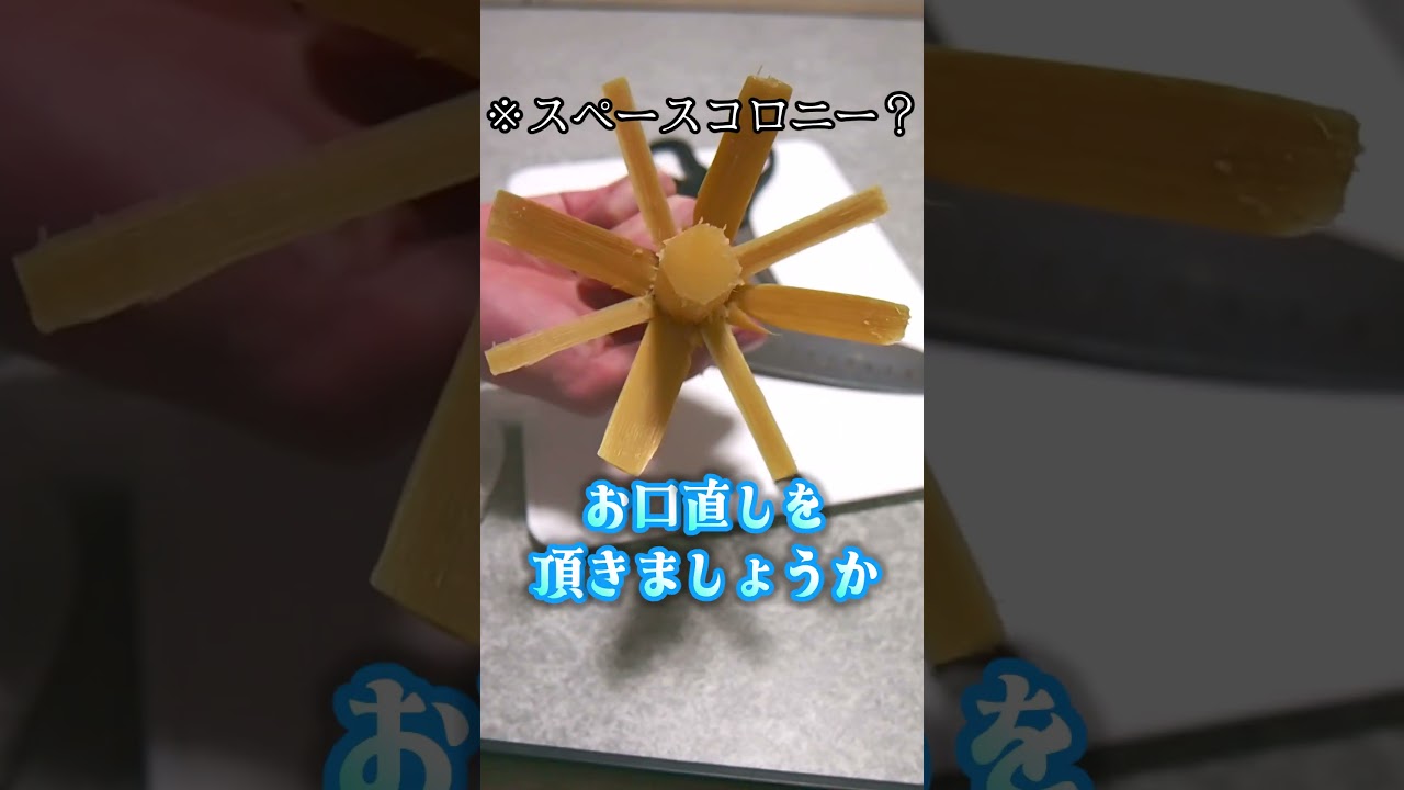 「ゲテモノ食いトロコン制覇の道」三歩目と四歩目