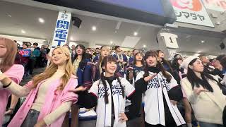 2024.11.21 #プレミア12　台湾VSベネズエラ戦の戴培峰応援　#台湾チア　#12強　#cheerleader