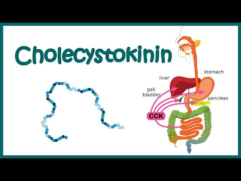 Cholecystokinin(CCK) || structure , function and mode of action
