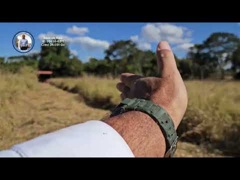 CHÁCARA À VENDA EM ALEXÂNIA GO | 4 Hectares com 400m de Córrego | Terra de Cultura | R$ 600 Mil