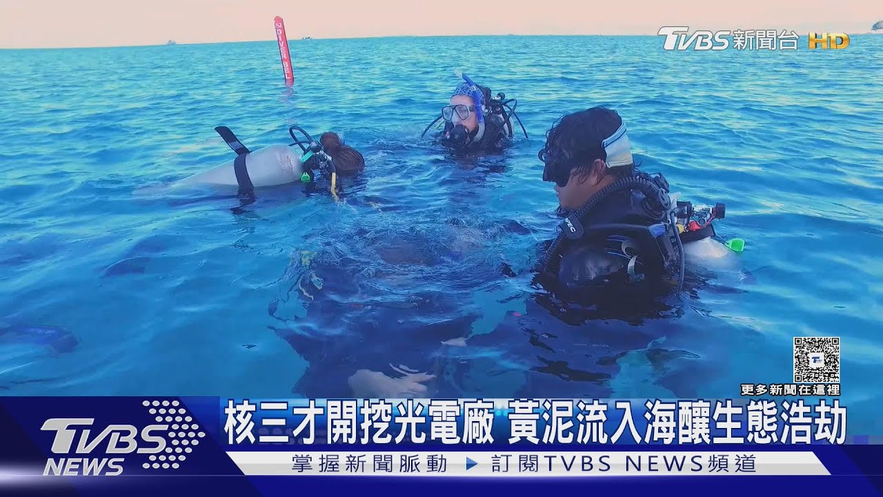 獨/核三才開挖光電廠! 潛水教練驚見海底混濁 明星生物快死光