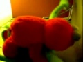 Tickle Me Elmo And Kermit Celebrity Sex Tape
