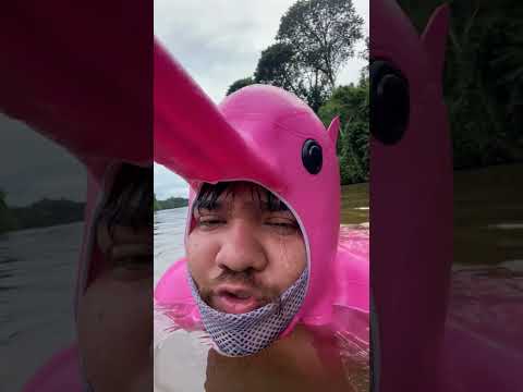 infiltrarse con Delfines rosados del amazonas#infiltration #animals #disfraz #delfin #humor #comedia