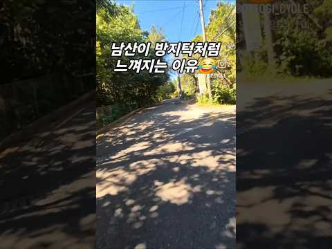 동네 뒷산이 최대경사 25%의 황령산이라서? #로드자전거 #업힐 #황령산