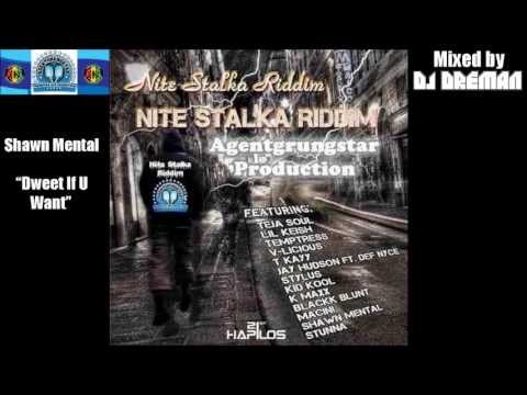 Nitestalka Riddim Mix (July 2013, Agent Grungstar Prod.) @DJDreman