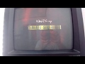 Walt Disney Treasures Intro Disney Rarites