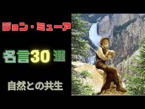 Nuvola アプリ kpercentage.png