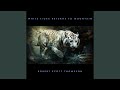 White Tiger Returns to Mountain