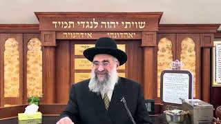 מגיס בתבשיל - באיזה אופן מותר בשבת - Megis (stirring) in which way is it allowed on Sabbat (הרב יצחק ישראלי) - התמונה מוצגת ישירות מתוך אתר האינטרנט יוטיוב. זכויות היוצרים בתמונה שייכות ליוצרה. קישור קרדיט למקור התוכן נמצא בתוך דף הסרטון